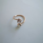 ANILLO HOLLIN